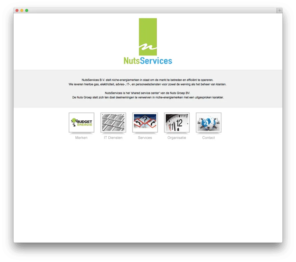 NutsServices B.V. website voorbeeld