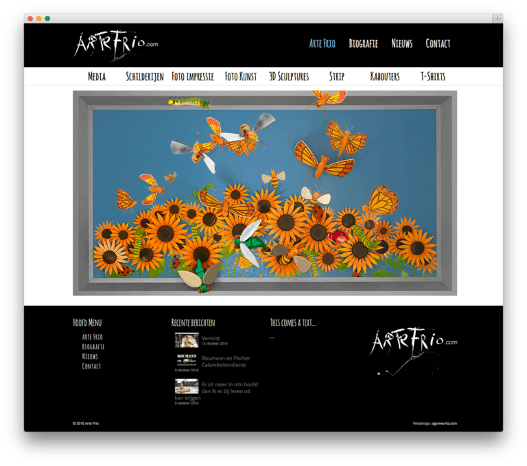 Arte Frio website voorbeeld