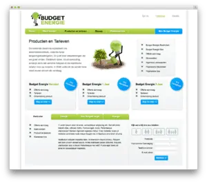 Budget Energie website voorbeeld