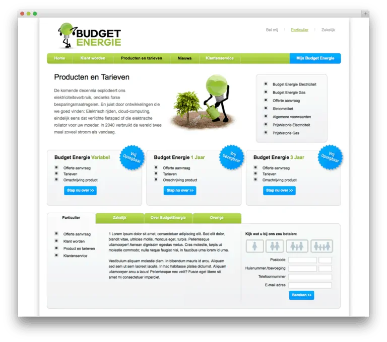 Budget Energie website voorbeeld