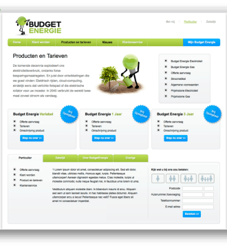 Budget Energie website voorbeeld