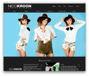 Studio Nico Kroon website voorbeeld